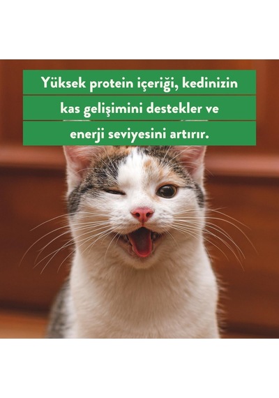 Freeze Dried Tavuk Göğüs Köpek Ve Kedi Ödül Maması%100 Doğal, Glutensiz 30 Gr Dog And Cat Treat