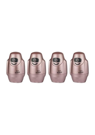 Sılgılı Kalemtıras Metalık Roze 4lu Set