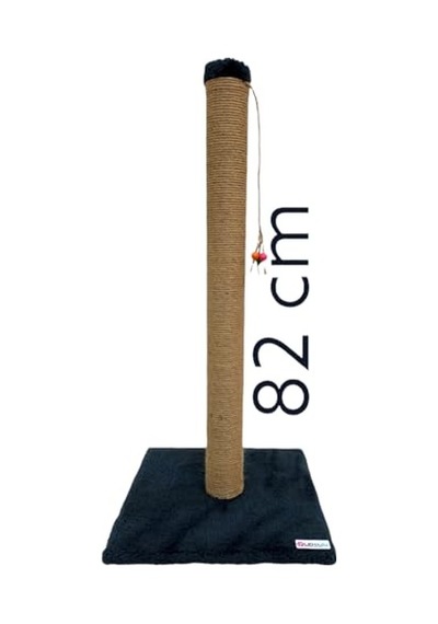 Kuru Kedi Sı, Tavuklu, Az Tahıllı, Yavru Kedi, Hipoalerjenik, 2 Kg 100 G