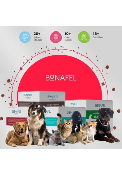 Plus Longevity Çok Küçük Irk Yetişkin Köpek Sı 700g 2 Paketi