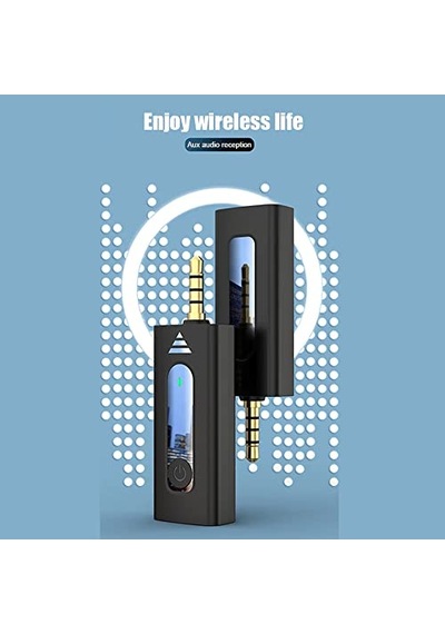 Kablosuz Mikrofon Wireless İkili Yaka Mikrofonu 3.5mm Aux Girişli Sokak Müzisyenleri Amfi Hoparlör Bilgisayar Youtub