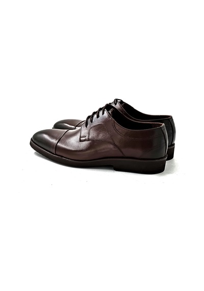 Brown Lissome