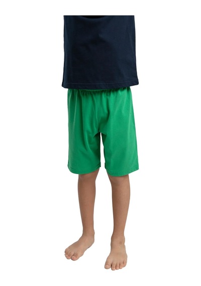 Rolypoly Erkek Çocuk Pamuk Pijama Takımı Rp3577-2 Lacivert Çok Renkli 4 - 5 Yaş