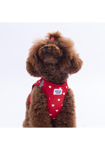 Simple Love Göğüs Tasması Ve Sevk Kayışı Tasma Seti Kalpler Desenli Kedi Köpek Göğüs Tasması Seti Kırmızı