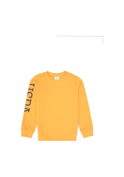 U.S. Polo Assn. Erkek Çocuk Mango Bisiklet Yaka Basic Sweatshirt 50313831-VR244 U.S. Polo Assn. Erkek Çocuk Mango Bisiklet Yaka Basic Sweatshirt 50313831-VR244