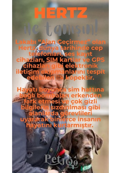 Petjoo 26.Hertz Gri-Turuncu Qr'lı Köpek Künyesi