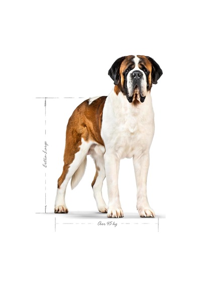 Giant Adult Köpek Maması, 15 Kg