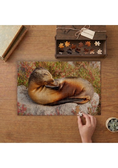 Galapagos Deniz Aslanı Tasarımı 240 Parça Ahşap Puzzle Ahşap Kutuda Mpy60125