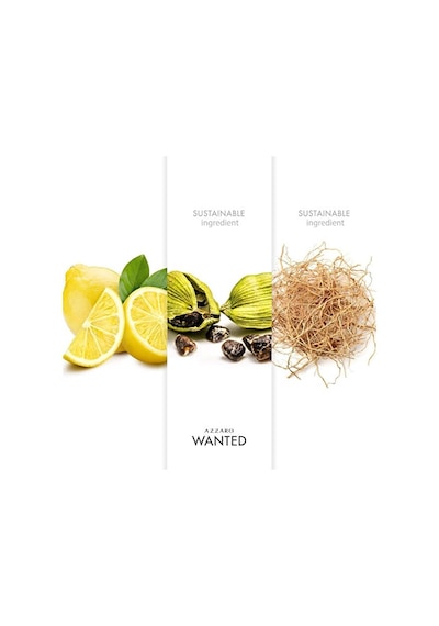 Azzaro Wanted Erkek Parfüm EDT 50 ML