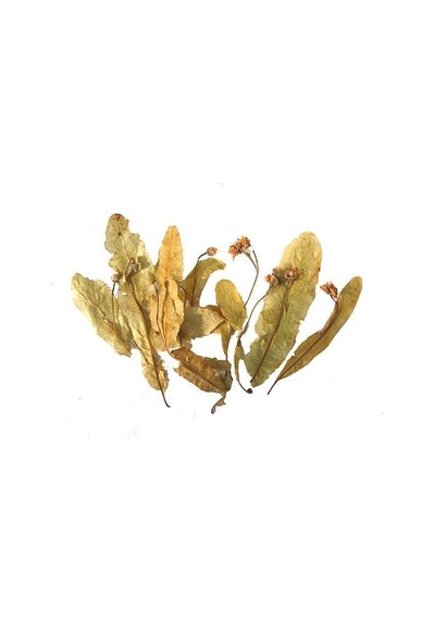 Yapraklı Kurutulmuş Ihlamur 1 Kg