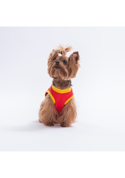 Red-kırmızı Small Things Tişört Kedi Köpek Tişörtü-kedi Köpek Kıyafeti