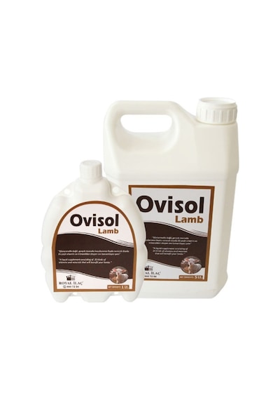 Royal Ovisol Lamb 5 L