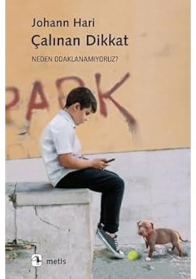 Alevini Kaybeden Ejderha + Bütün Şiirleri - Orhan Veli + Odysseia + Sade Bir Hayat + 5 Kitap Set