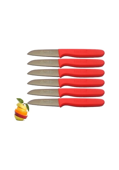 Sürmene Sürbisa 061007 Meyve Bıçağı 6 Lı Set Fuşya