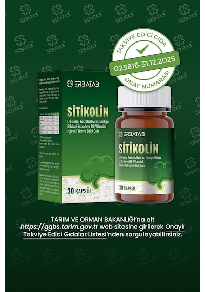 Erbatab Sitikolin L-tirozin, Fosfatidilserin, Ginkgo Biloba Ekstraktı Ve B6 Vitamini İçeren Takviye Edici Gıda 30 Vcaps