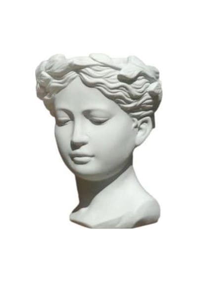 Anneler Gününe Özel Kırmızı Renk Yılbaşı Çiçeği Helen Saksı Hediyeli