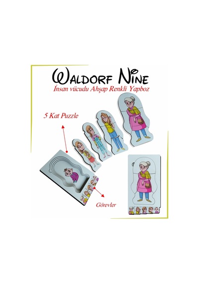 Waldorf Nine İnsan Vücudu Renkli Ahşap Yapboz Yaşam Döngüsü