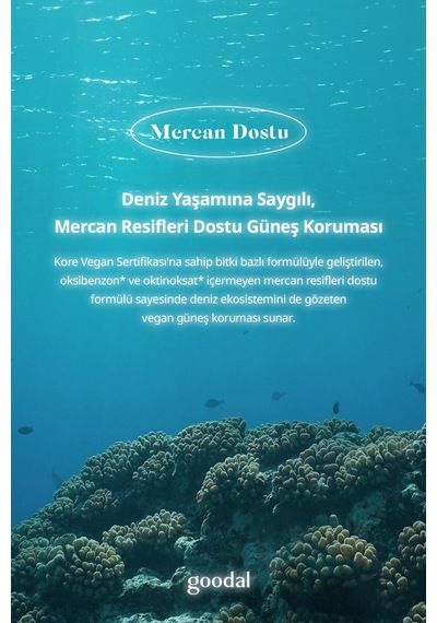 Mineral Filtreli, Nemli Bitişli Güneş Kremi Goodal Vegan Rice Milk Moisturizing Sun Cream Spf50+
