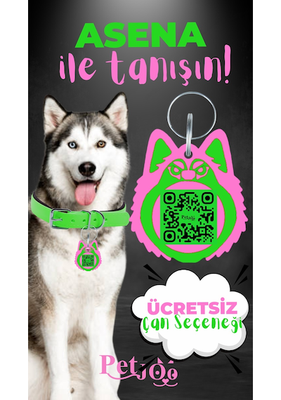 Petjoo 25.Asena Pembe-Yeşil Qr'lı Köpek Künyesi