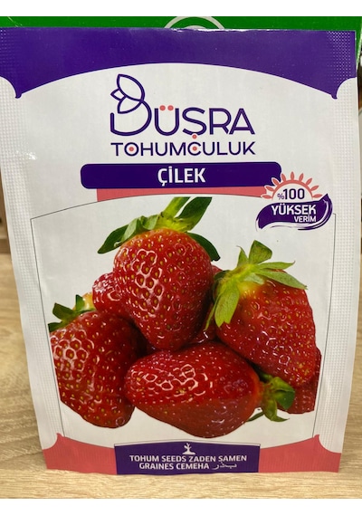 Büşra Çilek Tohumu Çilek