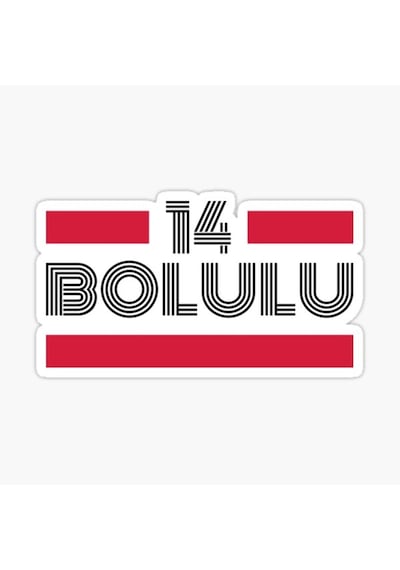 14 Bolulu Plaka Araba Sticker Yapıştırması
