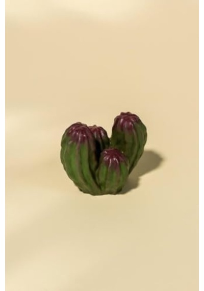 Peanut Kaktüs Silikon Mum Kalıbı 50 x 22