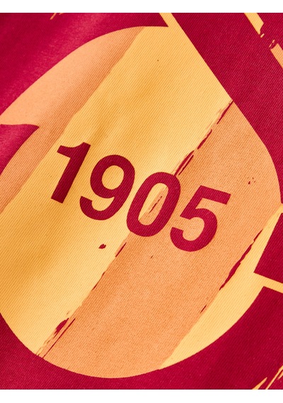 Gsstore Galatasaray Çocuk T-shirt C261038 Kırmızı