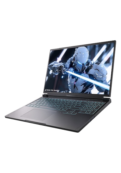 Thunderobot RS16 RS16-R9985HX57E1Q300RB R9-9850HX 32 GB 1 TB SSD RTX5070 16" Free Dos Dizüstü Bilgisayar