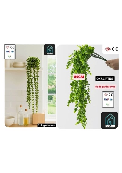 Yapay Bitki Sarkıt Okaliptüs Tesbih Dekor Çiçegi 80 Cm 15 Dallı Açık Yeşil