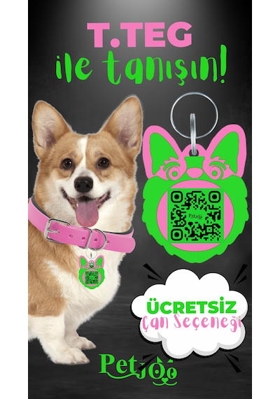 Petjoo 15.T.Teg Yeşil-Pembe Qr'lı Köpek Künyesi