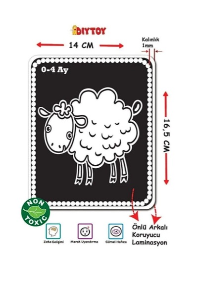 Dıytoy Bebeğimin Ilk Zeka Kartları Flash Card 1369