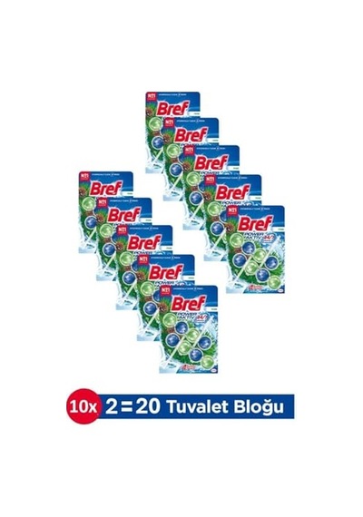 Power Aktiv Çam Kokulu Tuvalet Bloğu 10 Adet İkili Paket