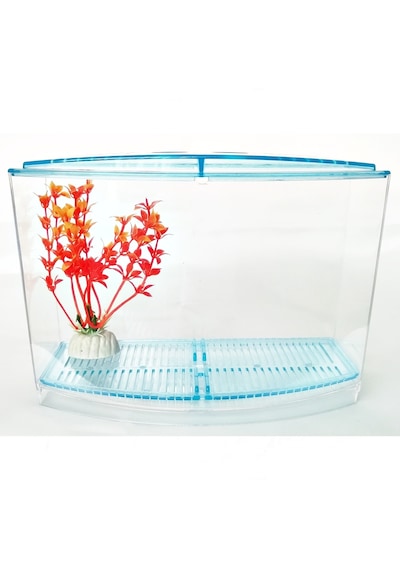 Bölmeli Izgaralı Betta Beta Kabı Tankı Akvaryum 1800 ML 19 x 8 x 13 CM Mavi