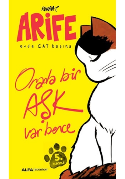 Orada Bir Aşk Var Bence-Arife Evde Cat Başına - Rewhat - Alfa Yayıncılık