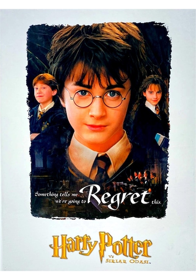 Umur Harry Potter Baskılı Öğrenci Klasörü 2 Halkalı