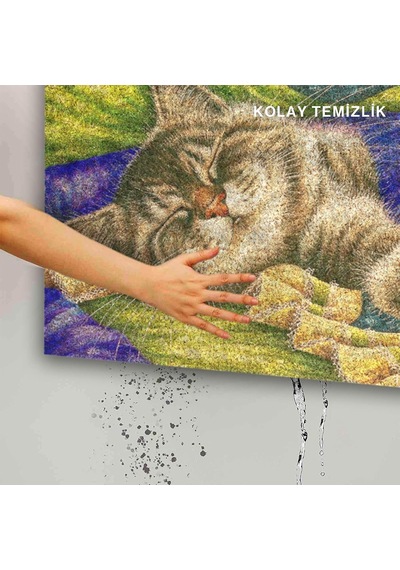 Tasarımlı Dekoratif Kapı Önü Paspas, Dış Mekan/ev İçi/banyo/mutfak/yatak Odası/giriş Paspasları Pastel Boya Çok Renkli