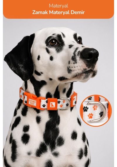 Köpekler İçin Dayanıklı Ve Güvenli, Desenli Boyun Tasması 25mm Pati
