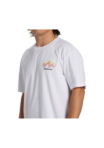 Bıllabong Billabong Segment Tees Erkek Tişört Beyaz 10 BEYAZ Beyaz