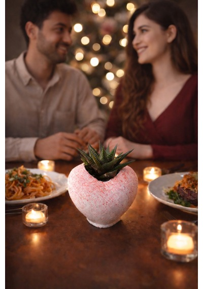 Pembe Kalp Saksıda Sukulent Romantik Canlı Hediye 2 Adet