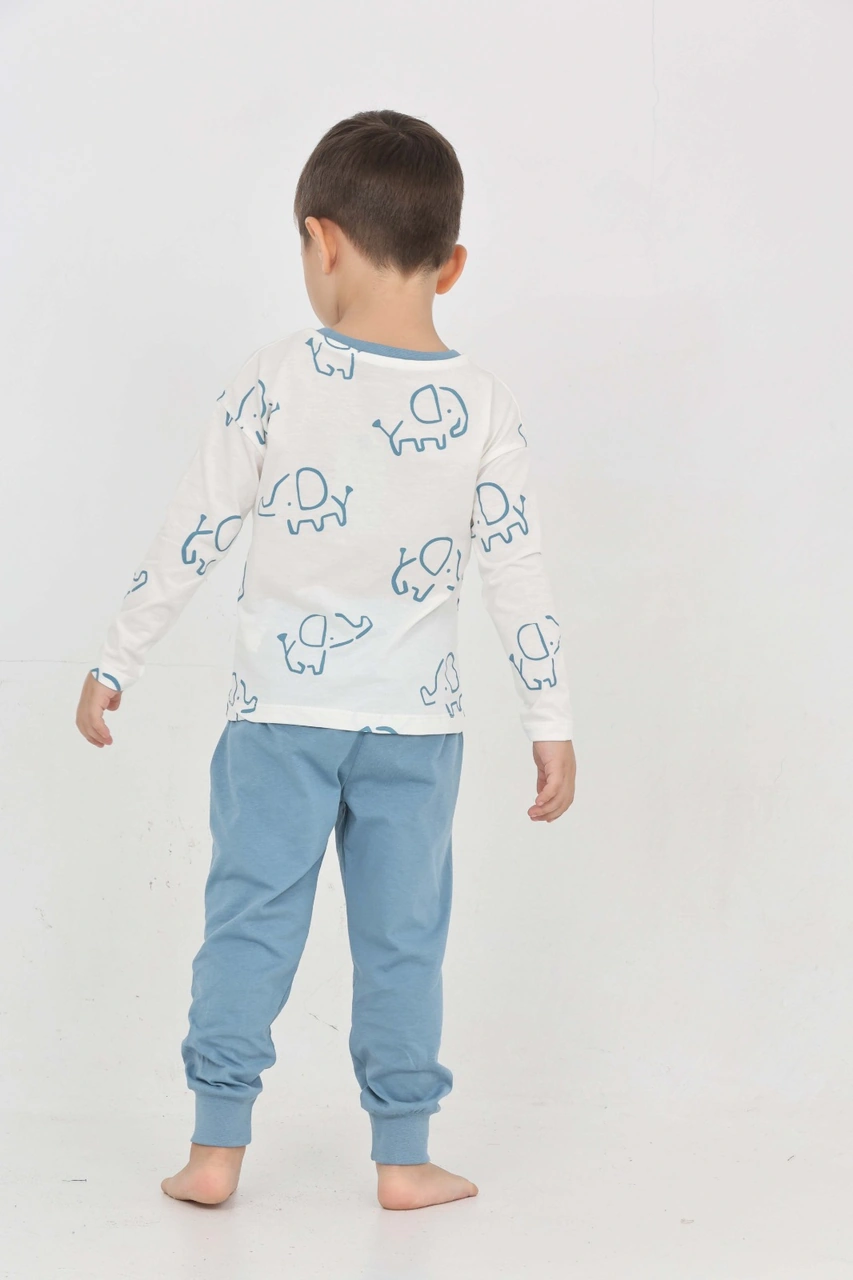 Toontoy Kids Toontoy Erkek Çocuk Fil Pano Baskılı Pijama Takım Mavi