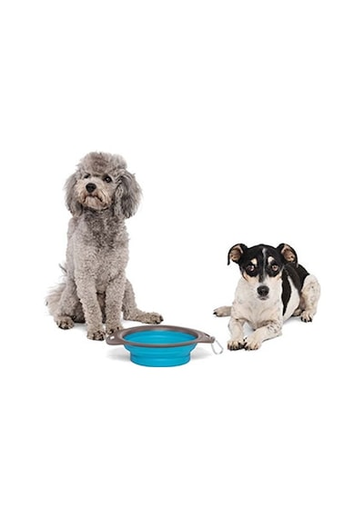 M-pets Kedi Ve Köpekler İçin Katlanır Silikon Mama Ve Su Kabı Mavi 420 Ml 244-51019.02
