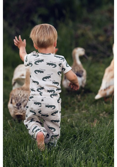 Antebies Organik Gots Sertifikalı,yeşil,timsah, Çıtçıtlı, Bağcıklı Kısa Kollu Erkek Bebek Body Eşofman Takımı Antebies Organik Gots Sertifikalı,yeşil,timsah, Çıtçıtlı, Bağcıklı Kısa Kollu Erkek Bebek Body Eşofman Takımı