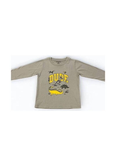 Divonette Erkek Çocuk Dinazor Baskılı Uzun Kollu T-shirt-15088 Gri