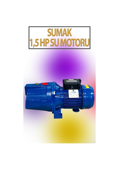 1,1 Kw 1,5 Hp 2820 D/d 5,8 A. Su Motoru 220 V/50 Hz Su Pompası Jet Pompası