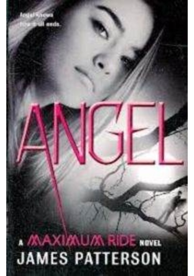 Angel (Maximum Ride 7)