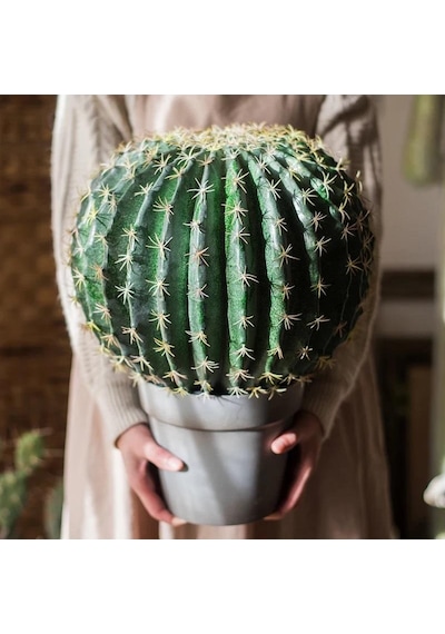 Yapay Çiçek Echinocactus Grusonii Altın Fıçı Kaktüs Siyah Saksıda 35 25m Cactüs Sk4010s