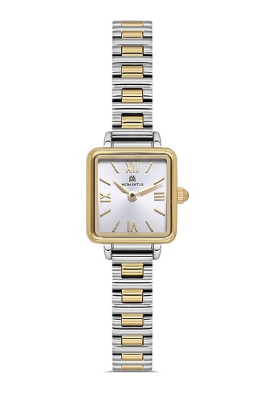 Momentus Women's Classy Cw312t-02sg Gri
