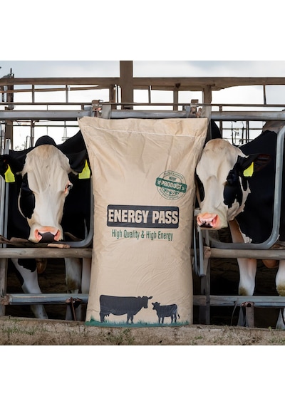 Energypass Bypass Yağı 25 Kg Kalsiyum Sabunu