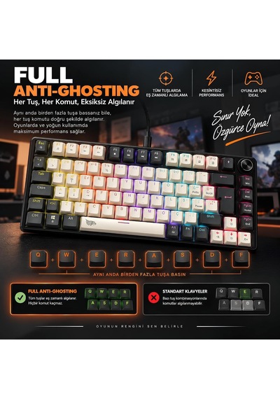 %75 Kablolu Rgb Mekanik Gaming Klavye, Türkçe Q, Blue Switch Kb-09