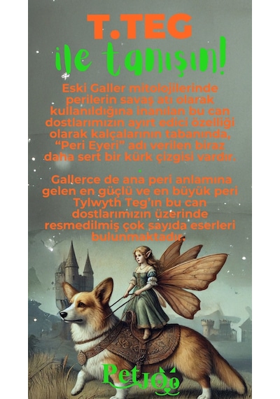Petjoo 15.T.Teg Yeşil-Turuncu Qr'lı Köpek Künyesi